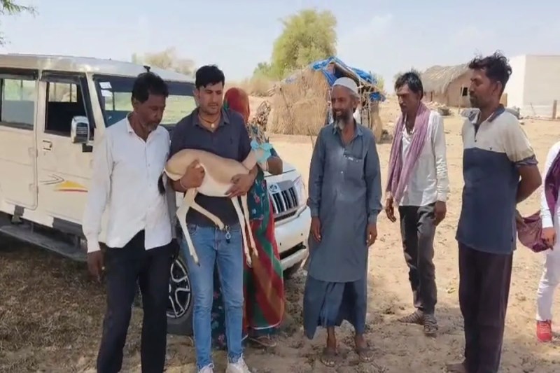 nachan jaisalmer news photo