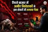 HNI investors India
