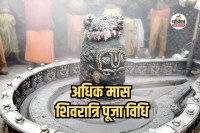 Adhik Maas Shivratri 2026, Parthiv Shivling Puja