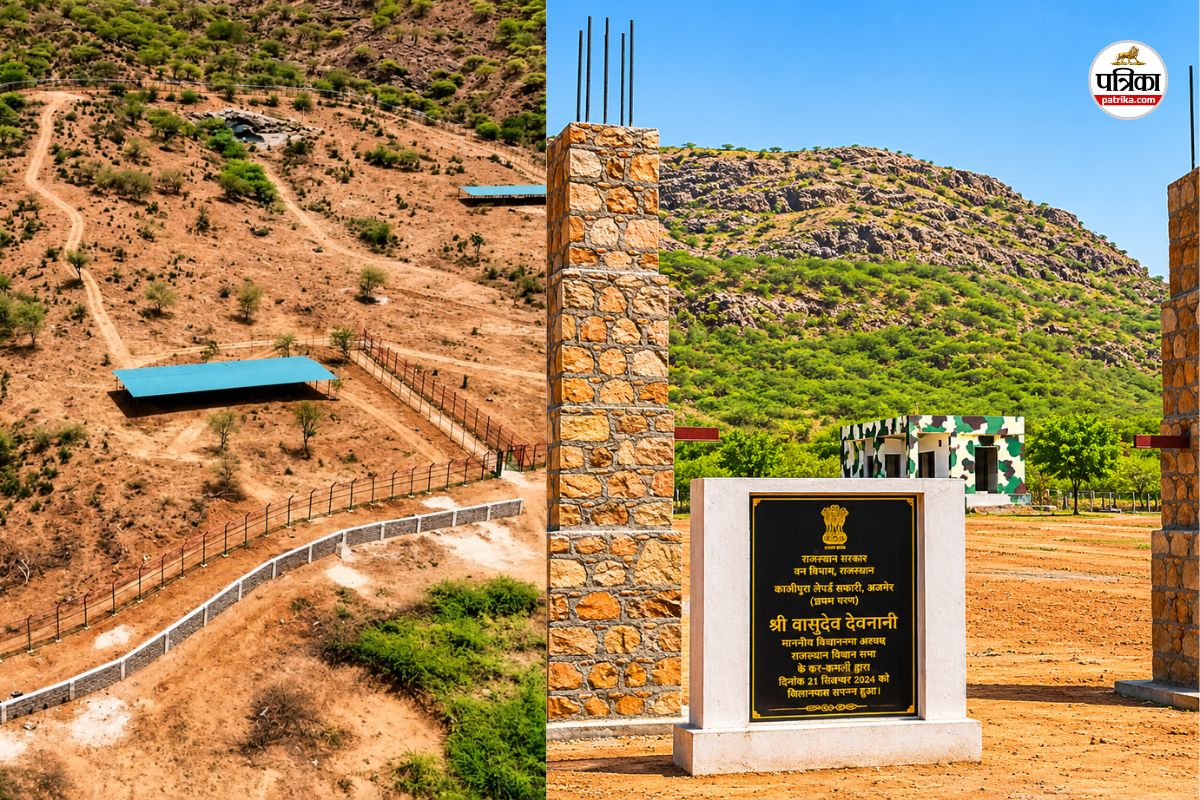 Kajipura Leopard Safari, Ajmer
