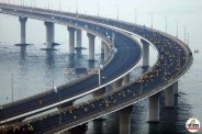 Vasai Bhayandar Bridge update