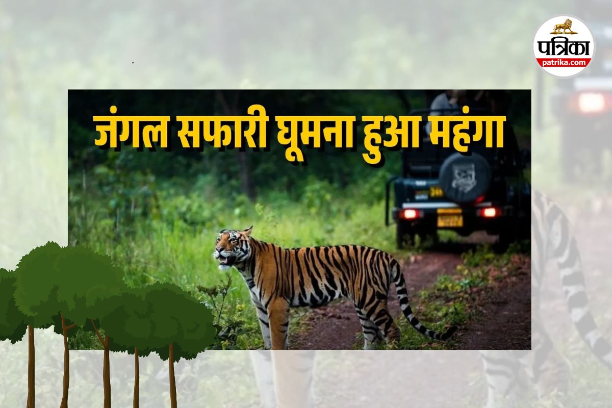 Raipur Jungle Safari