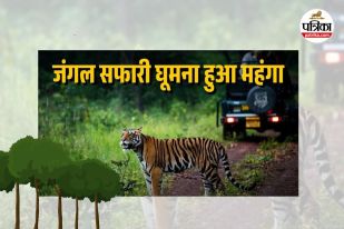 Raipur Jungle Safari