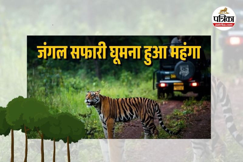 Raipur Jungle Safari