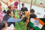 नसबंदी अभियान पर बवाल (photo source- Patrika)