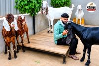 Bakrid 2026