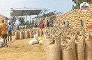 Paddy Procurement Scam
