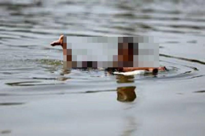 Children drowned