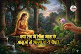 Chui Mui Plant Sita Tears Mythology