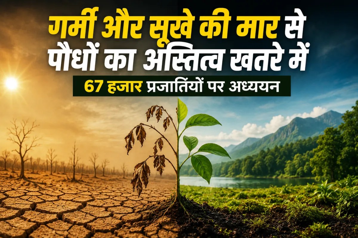 Climate Change Impact on Plants