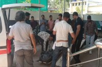 Ambikapur suicide news, Businessman suicide, batting