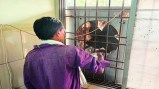 बालोद जिला अस्पताल के मरीज तेज गर्मी में पानी के लिए परेशान है। 44 डिग्री तापमान में मरीज अस्पताल के अंदर तप रहे हैं।