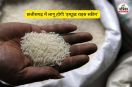 Improved Rice Scheme