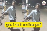 युवक ने गाय के साथ किया कुकर्म (फोटो सोर्स- पत्रिका)