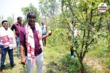 Chhattisgarh News