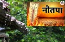 पत्रिका फाइल फोटो