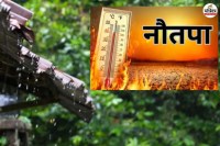 पत्रिका फाइल फोटो