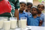 सरकारी स्कूलों में नौनिहालों को फिर से मिलेगा दूध, पत्रिका फोटो