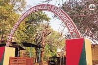 चित्तौड़गढ़ को जल्द ही बायोलॉजिकल पार्क की सौगात मिलेगी। पार्क के लिए वन विभाग को 174 हेक्टेयर भूमि मिल गई है।