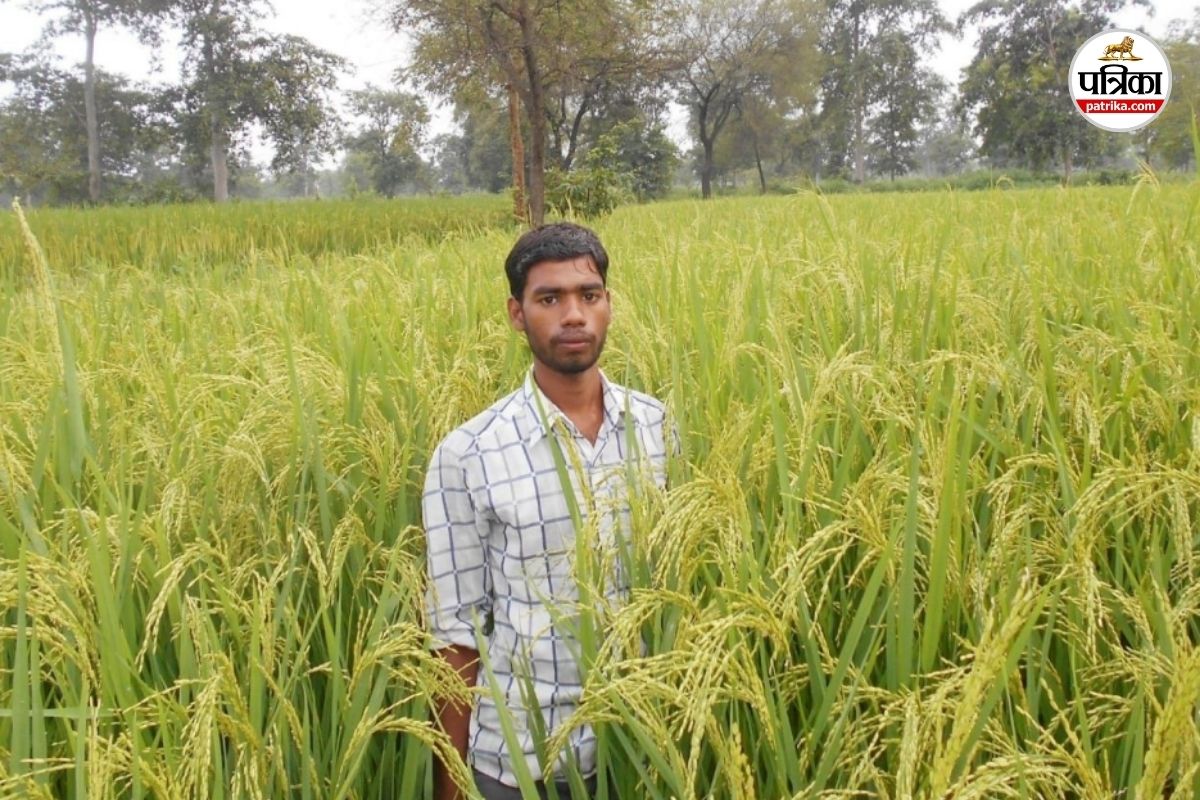 Organic Farming