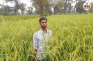 Organic Farming