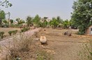 Govt DB Hospital Churu