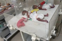 woman gave birth to four babies two sons and two daughters mp news