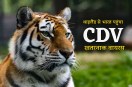 Danger of CDV virus first time in MP