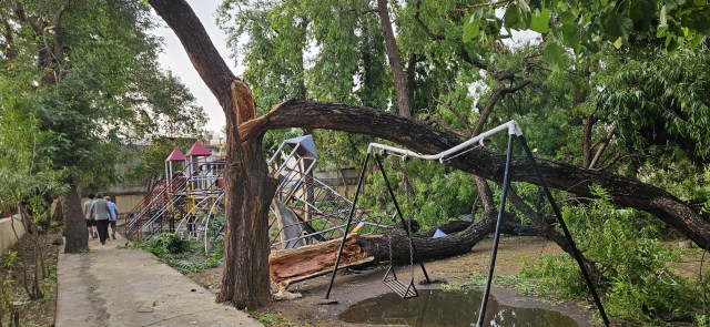 Dausa Storm
