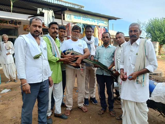 Dausa Storm