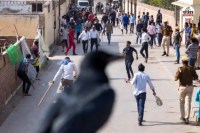 Dholpur Strange incident a black crow a woman spread his murder news know whole story