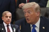 Donald Trump-pak
