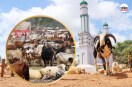 Assam Eid Committees