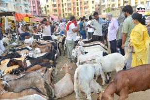 Rules issued regarding Kurbani