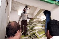 Fertilizers scam, Huge fertilizer scam in Koria