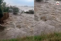 Karni Ji Vitarika Breach Rat Burrows Cause 45-Foot Breach in Gang Canal in Rajasthan Water Floods Fields