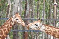Rajasthan wildlife park