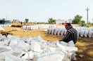 Government Wheat Procurement Center