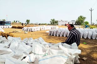 Government Wheat Procurement Center