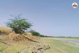 Pending dam maintenance in Pali due to lack of budget