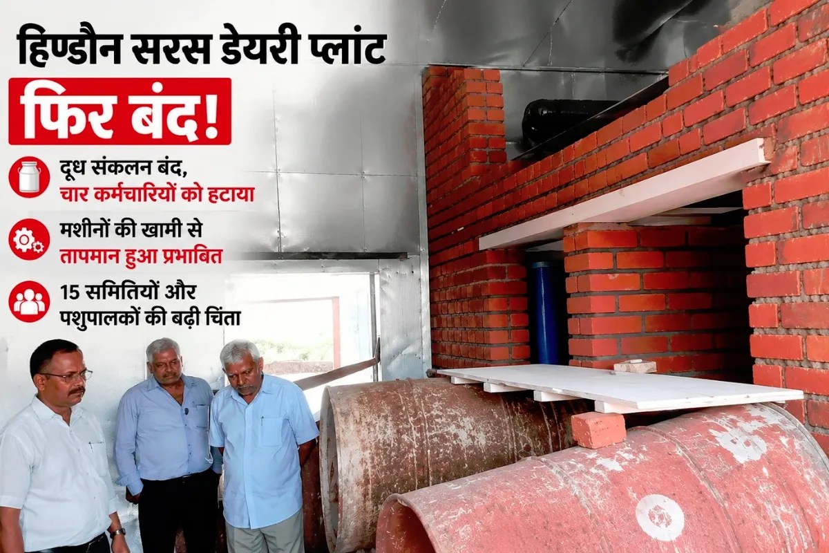 Hindaun Saras Dairy Crisis