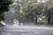 MP Monsoon 2026 Update