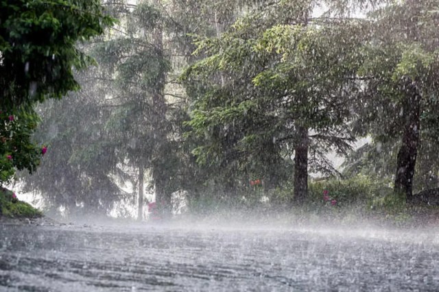 Monsoon Rain