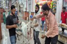 Mugalsarai goat
