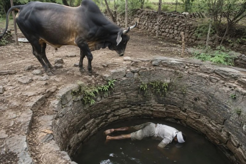 कुएं में गिरकर किसान की मौत, फोटो सोर्स- ChatGPT