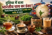 International Tea Day 2026