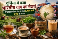 International Tea Day 2026