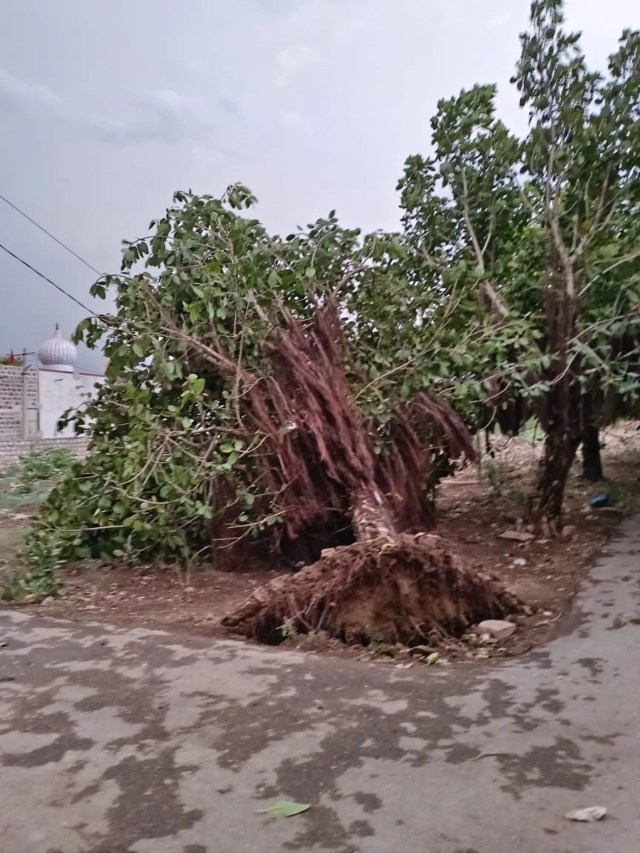 Jodhpur Storm