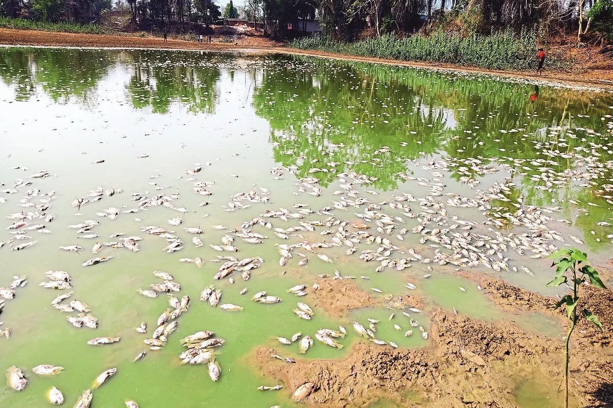 Chhattisgarh Heatwave