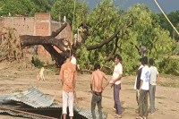 अगले 3 घंटों में 80 किमी प्रति घंटा तक पहुंच सकती है हवाओं की रफ्तार, मौसम विभाग ने जारी किया अलर्ट (फोटो सोर्स : भाषा WhatsApp News Group)